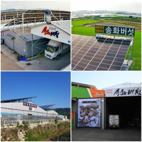 젊은농부농업회사법인주식회사