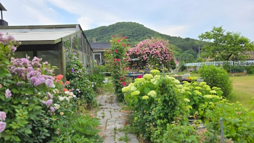 율네정원이야기