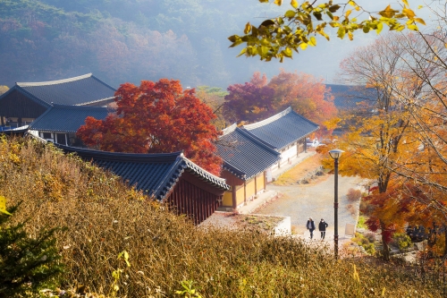 99.최인택 칠장사2.jpg