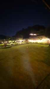 20260604_203008.jpg