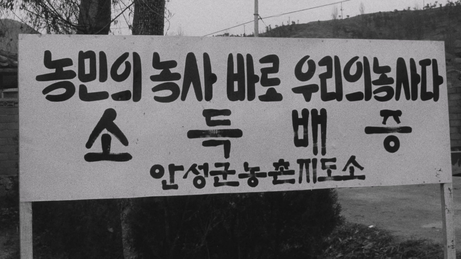 대한뉴스 밝아오는 새농촌 이미지