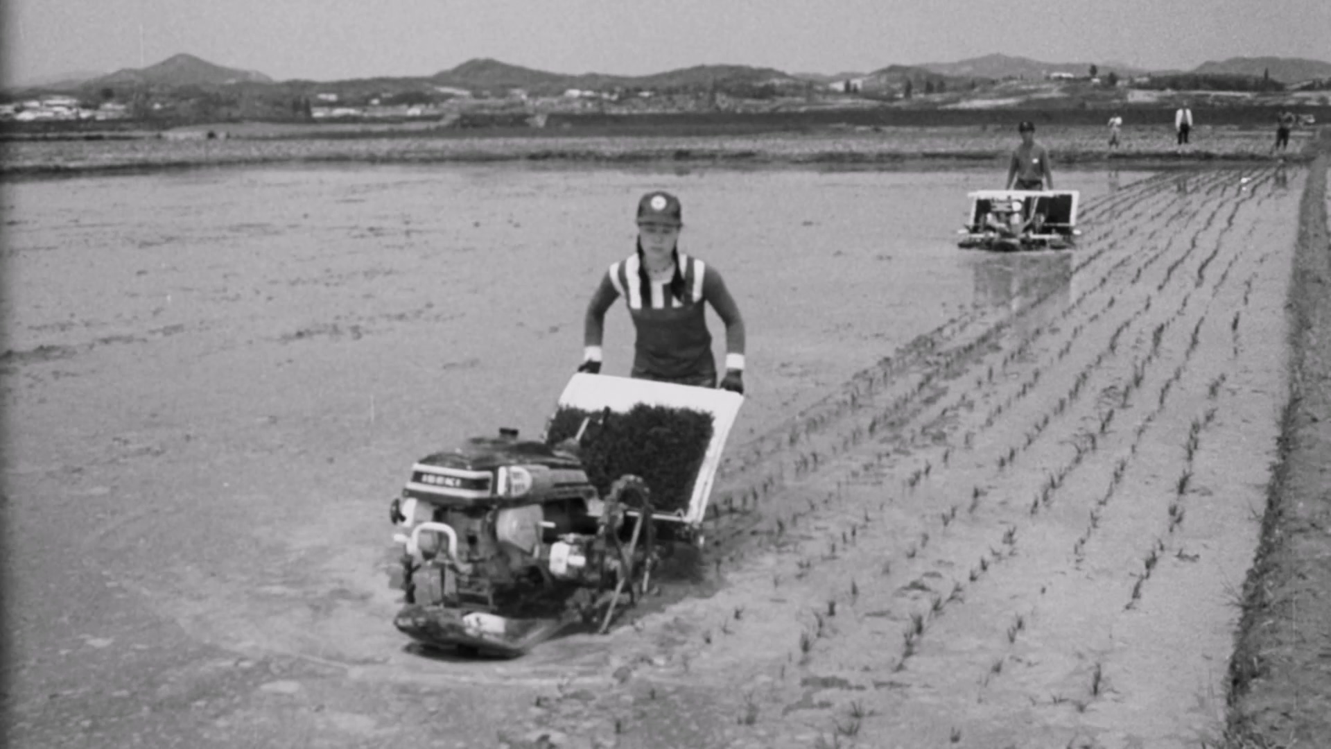 대한뉴스 동력 이앙기 보급화 이미지