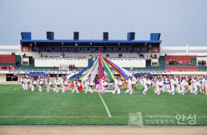 제2회 안성시민의 날 겸 시민 체육대회