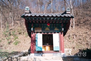청룡사