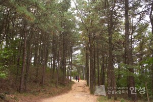 비봉산길
