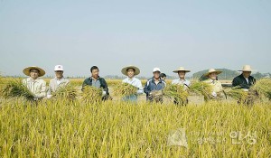 경기도지사 벼베기 행사