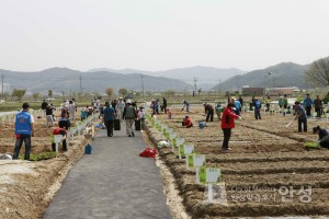 텃밭가꾸기 개상식