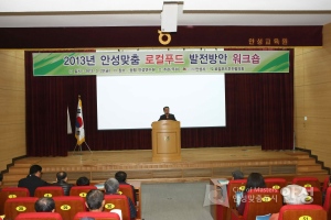 2013 안성맞춤 로컬푸드 발전방안 워크숍