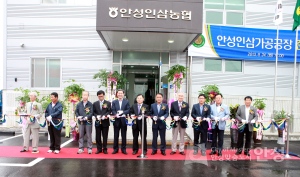 안성인삼가공공장 준공