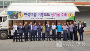 안성맞춤 거봉포도 싱가폴 수출 선적식