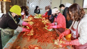 양성농협 농가주부모임회 김장김치 나눔행사