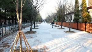 미세먼지 특화거리
