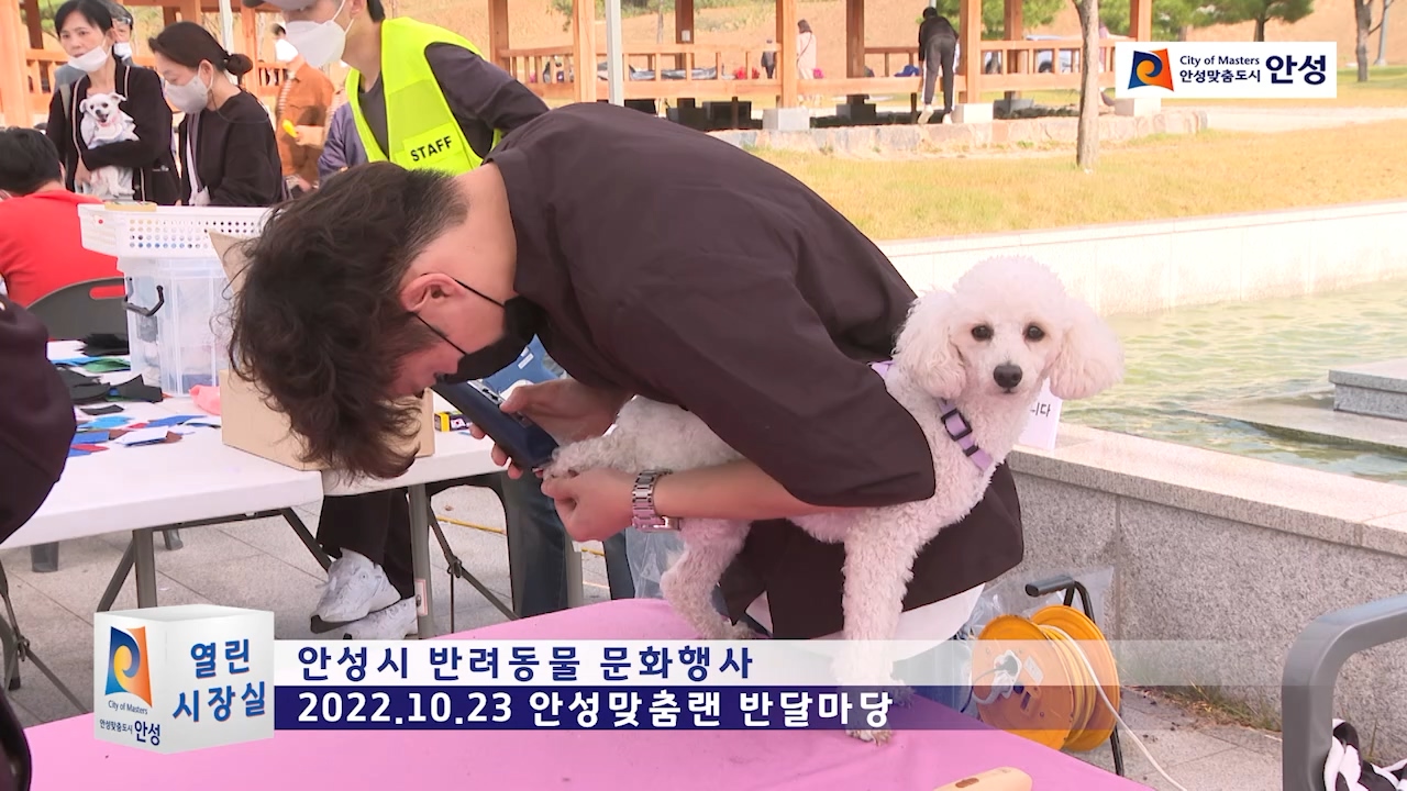 안성시 반려동물 문화행사