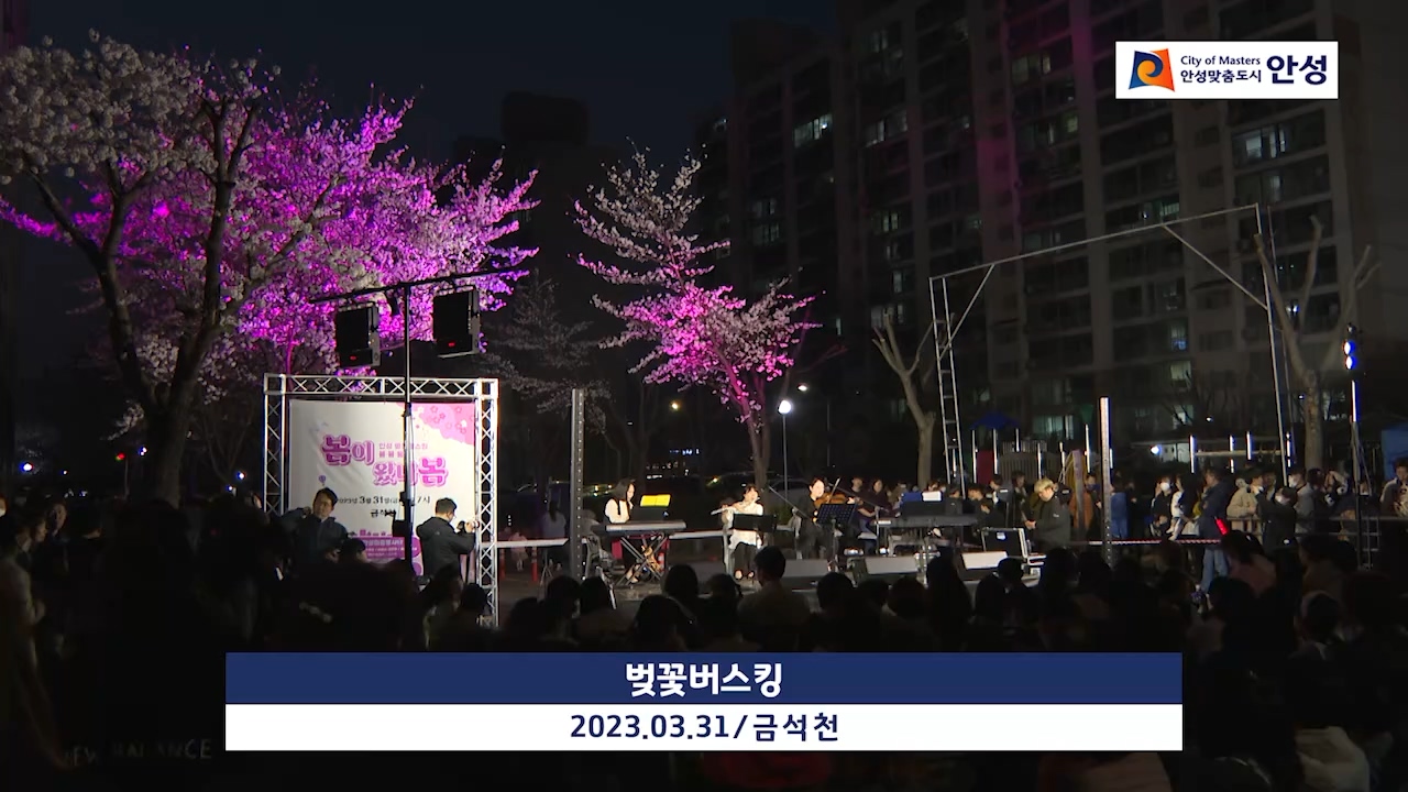 벚꽃버스킹