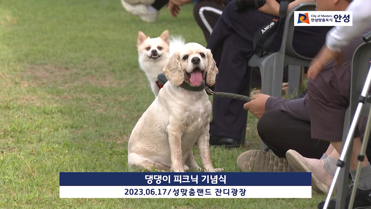 댕댕이 피크닉 기념식