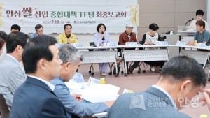 안성쌀산업 종합대책 TF팀 최종보고회