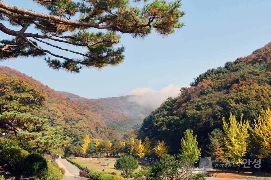 안성시 가을단풍