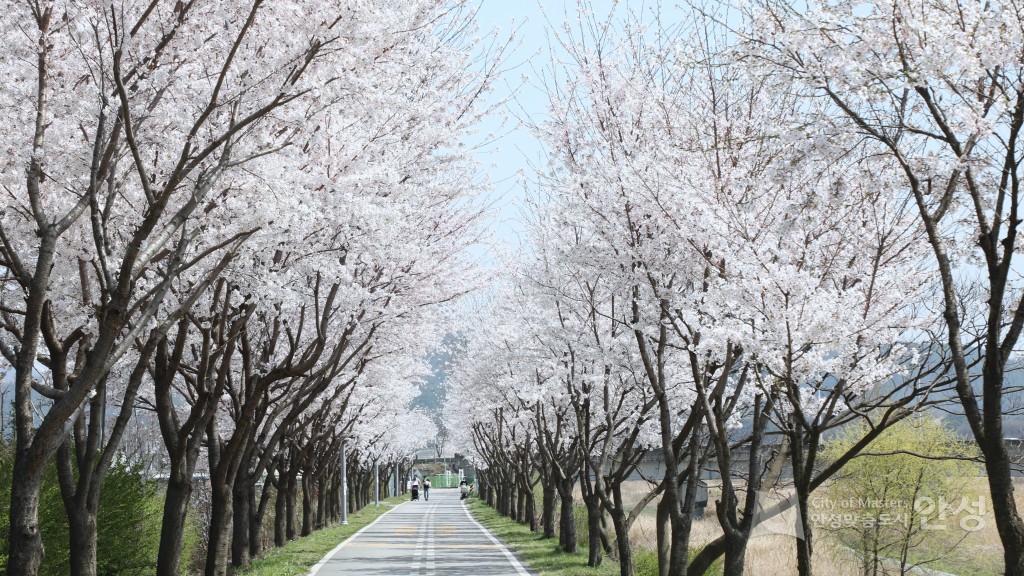 2023 전광판 홍보용 사진