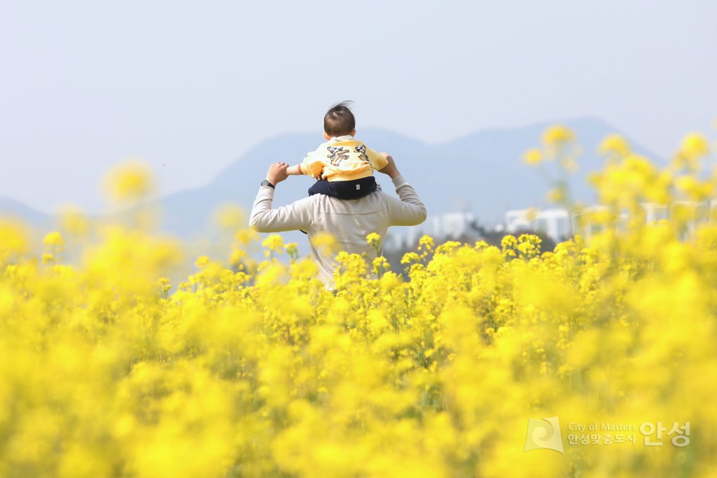 안성시 대한민국  문화도시 관련 홍보사진