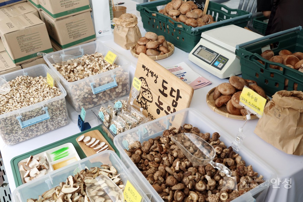 안성 신활력 활활 페스티발