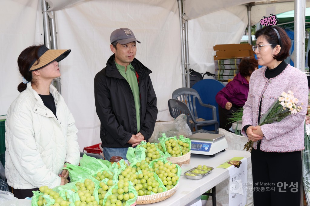 안성 신활력 활활 페스티발
