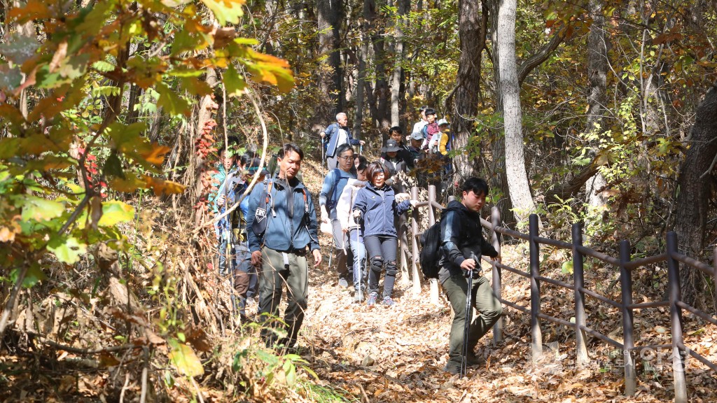 금북정맥 국가생태문화탐방