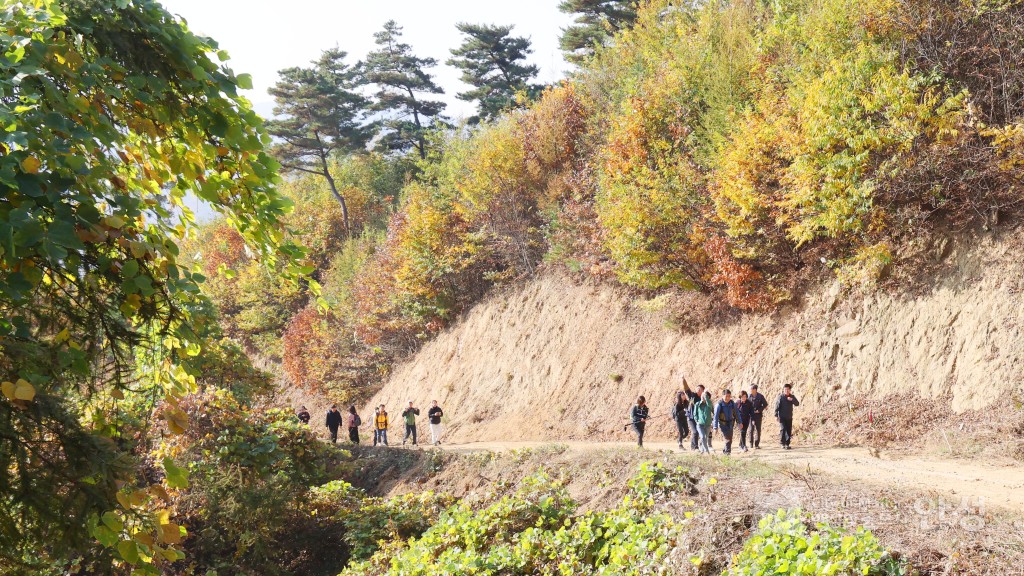 금북정맥 국가생태문화탐방