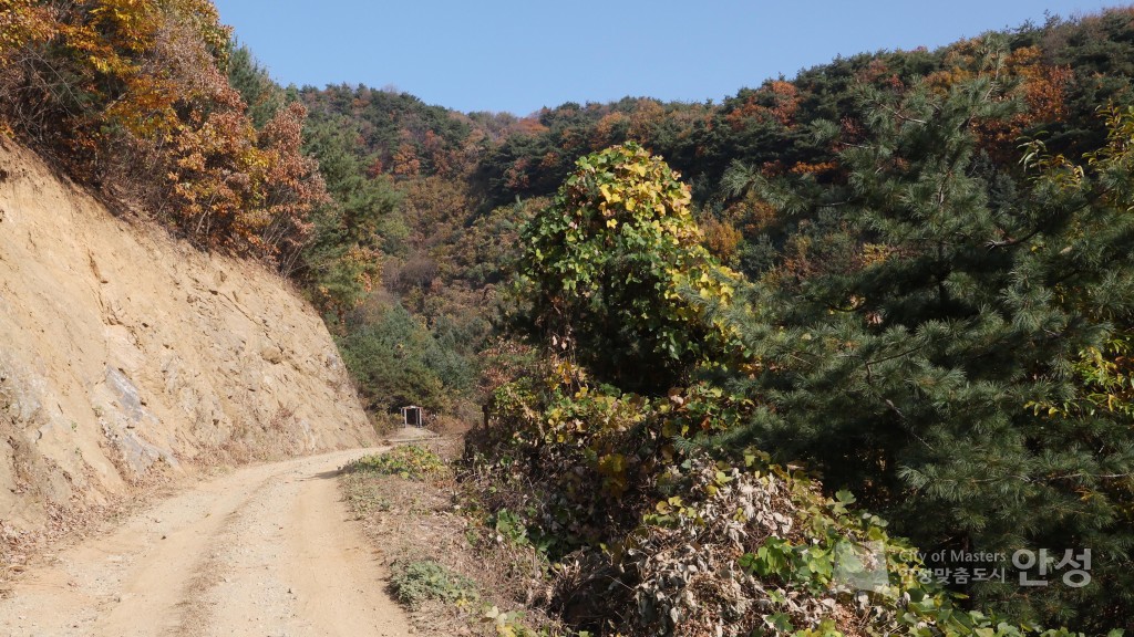 금북정맥 국가생태문화탐방