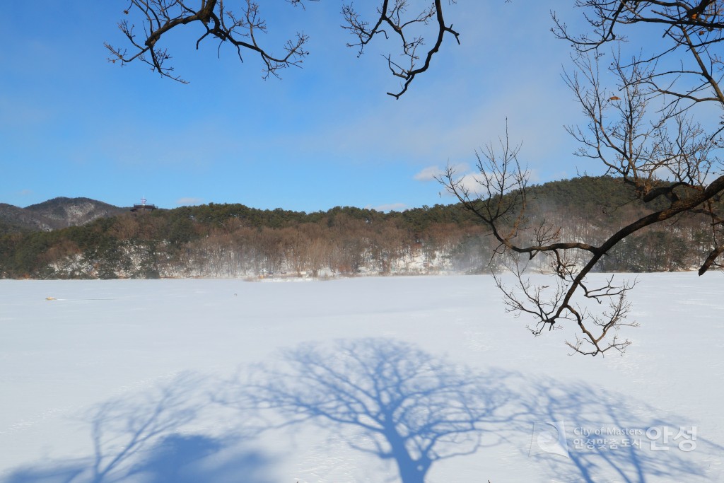 안성시 설경