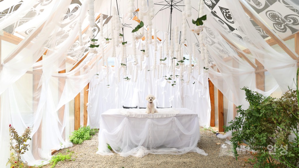 2025년도 안성시 배꽃