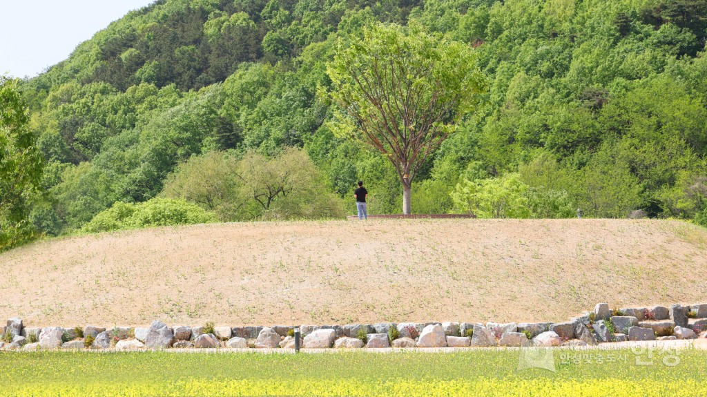 수석정 수변화원