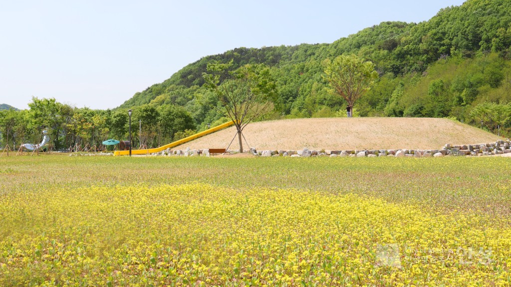 수석정 수변화원