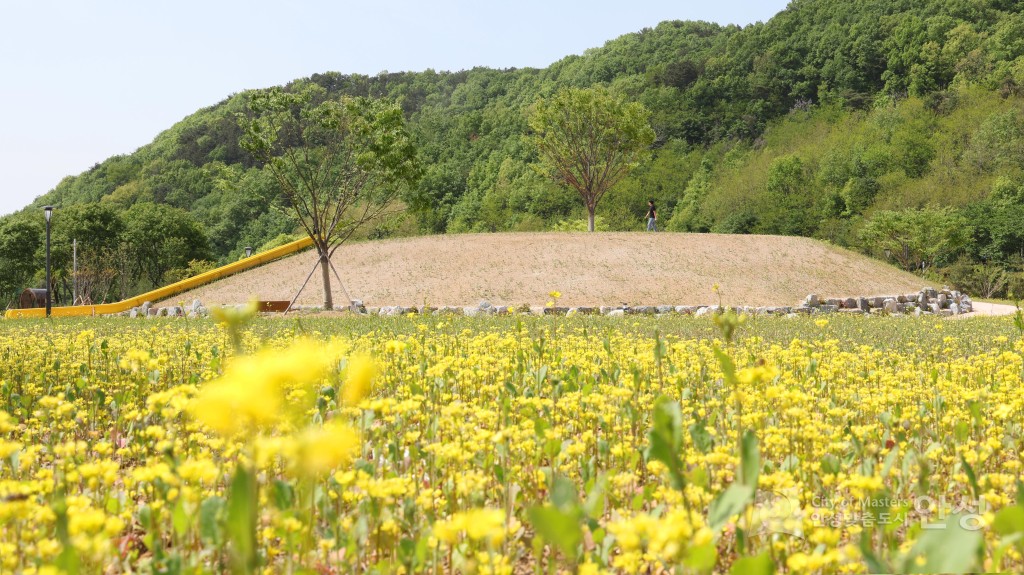 수석정 수변화원