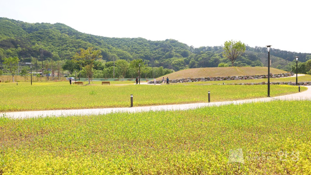 수석정 수변화원