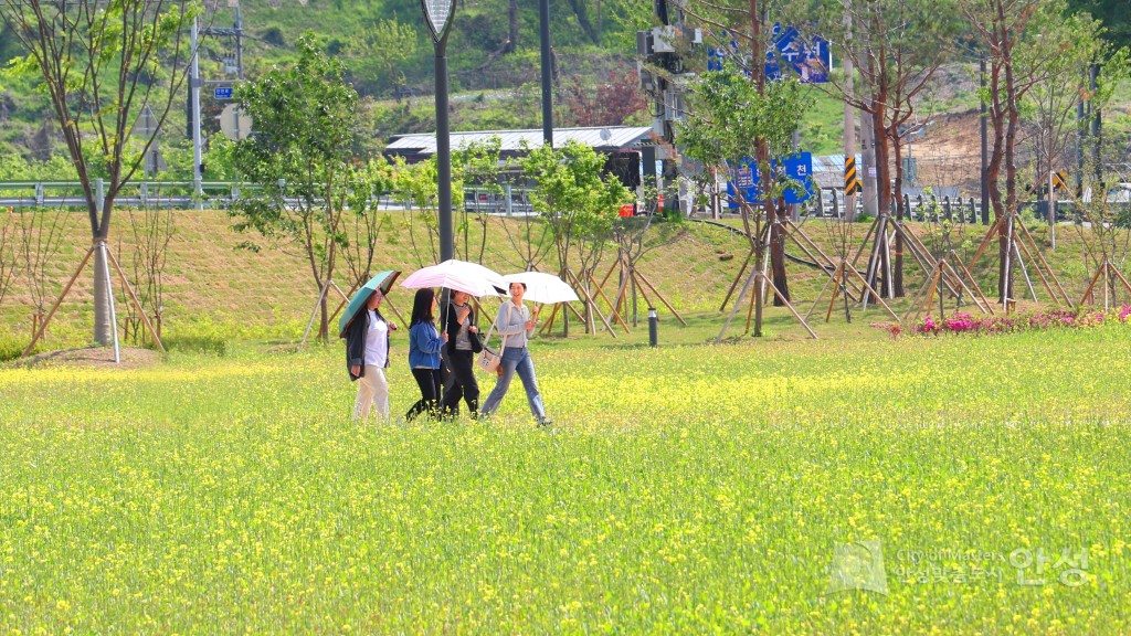 수석정 수변화원
