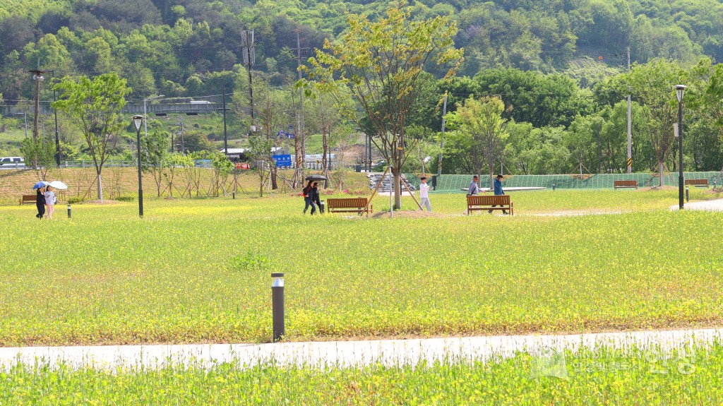 수석정 수변화원