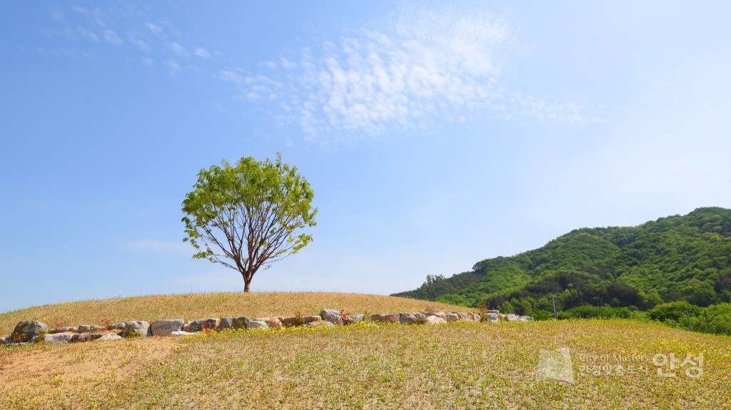 수석정 수변화원