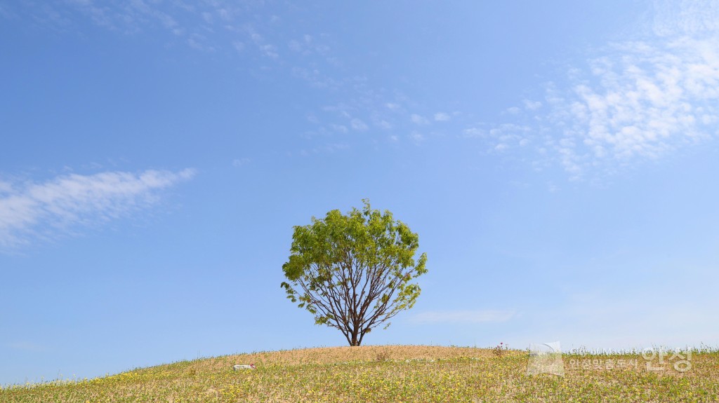 수석정 수변화원