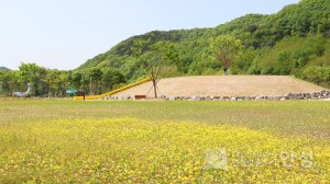 수석정 수변화원