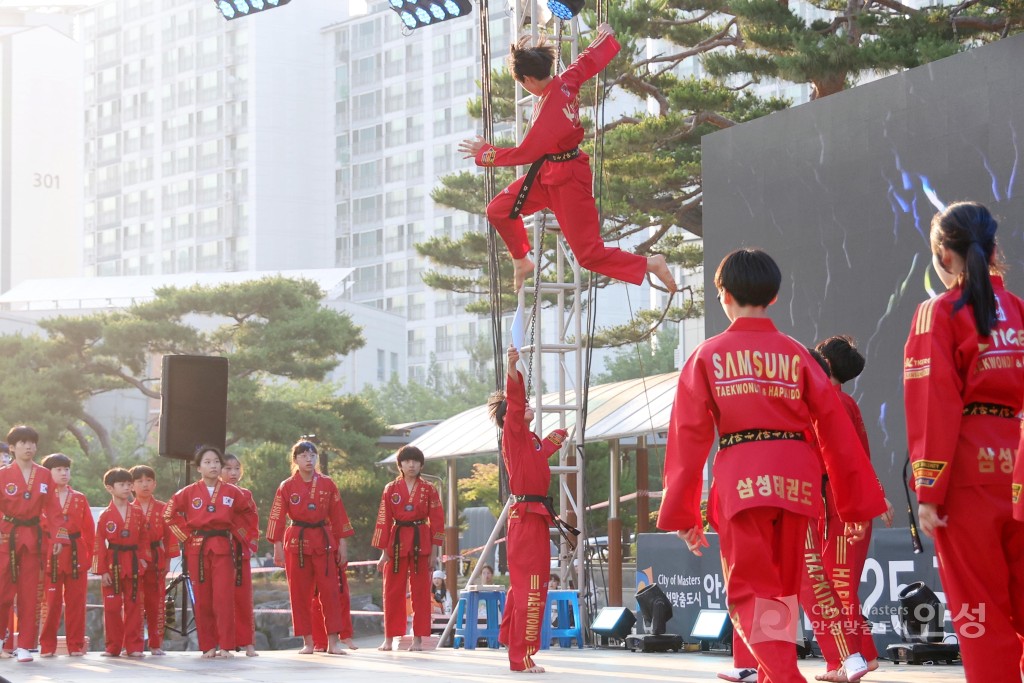 공도문화축제 힐링콘서트