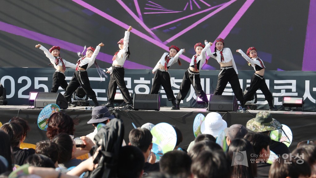 공도문화축제 힐링콘서트