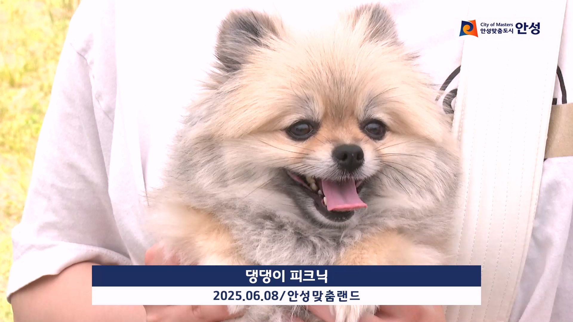 댕댕이 피크닉 이미지