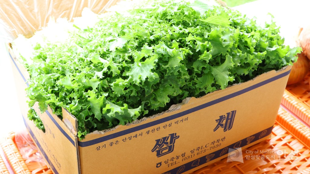 새농민회 연찬회