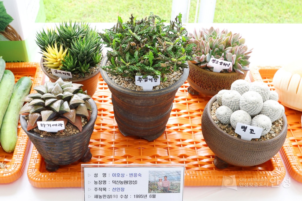 새농민회 연찬회