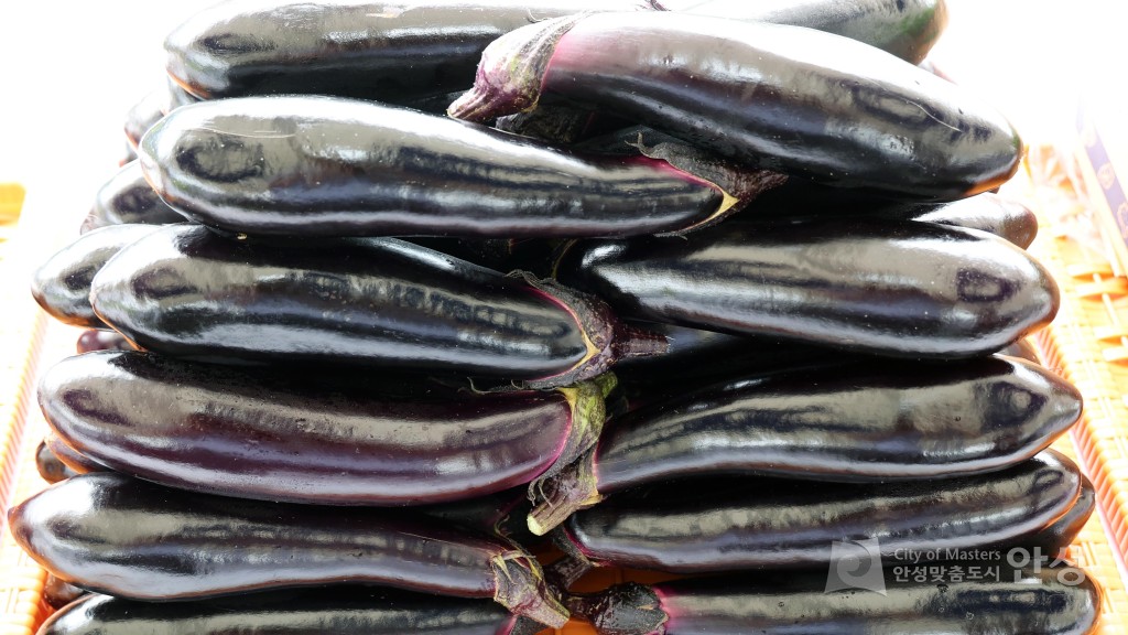 새농민회 연찬회