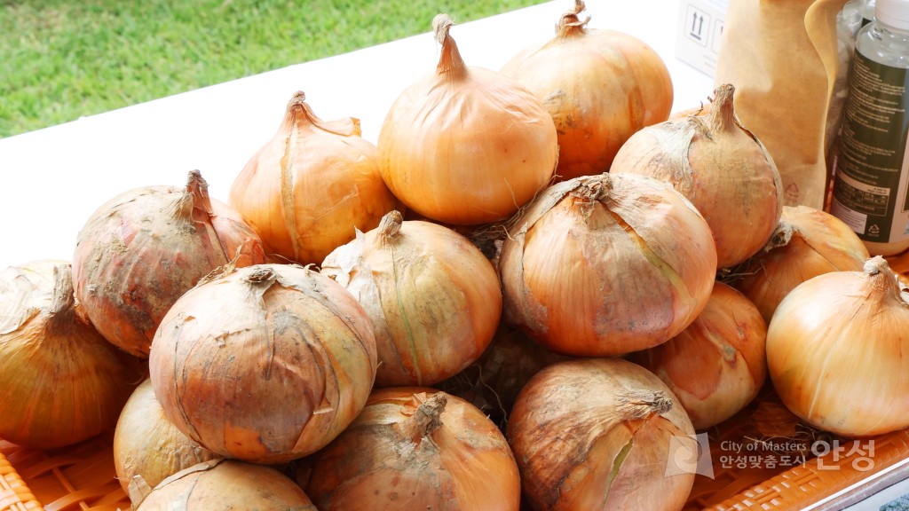 새농민회 연찬회