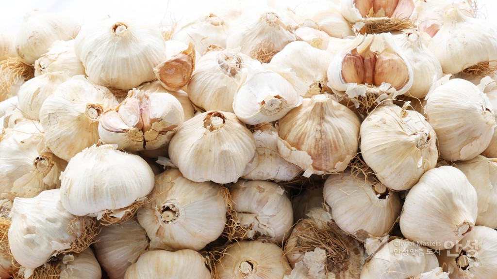 새농민회 연찬회