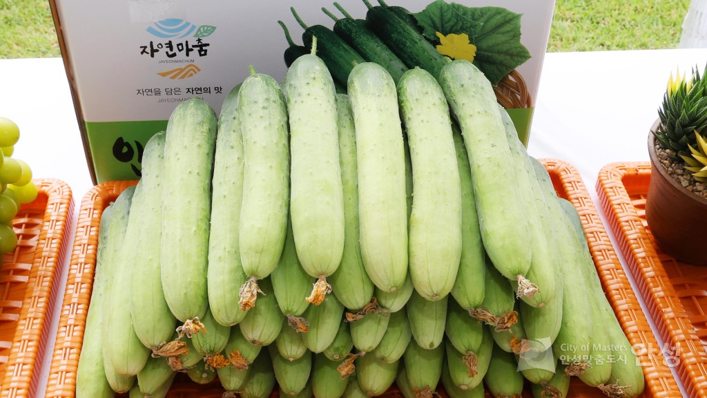 새농민회 연찬회