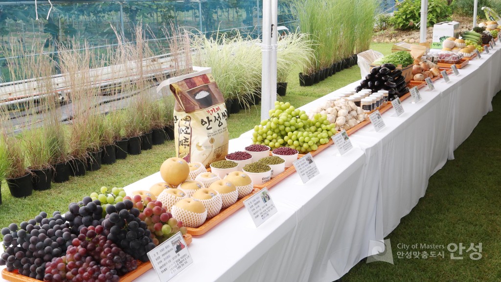 새농민회 연찬회