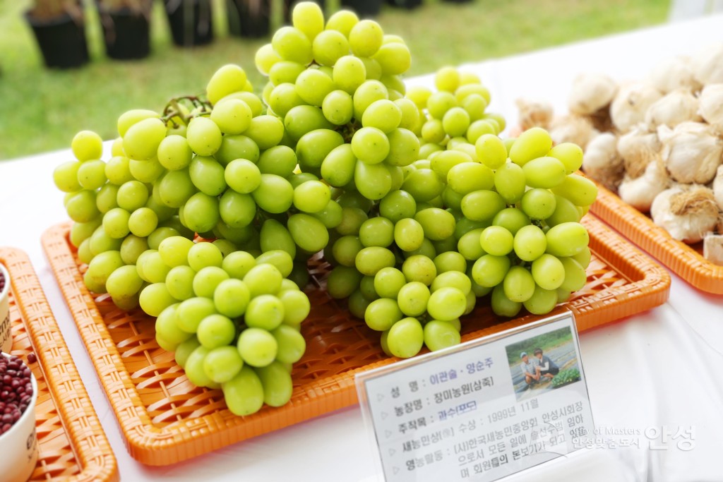 새농민회 연찬회